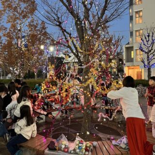 駅前広場　イルミネーション